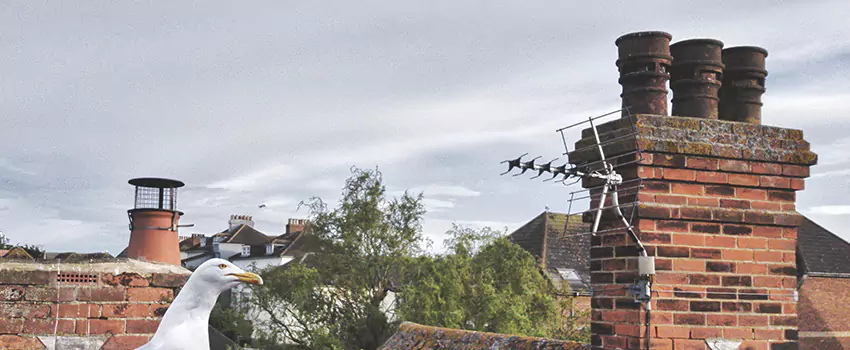 Chimney Cleaning And Restoration in Tallmadge, Ohio